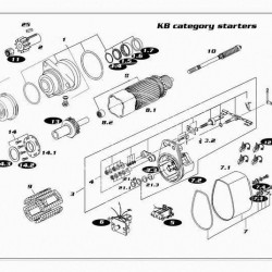 Repair kit DELCO-REMY 19024384