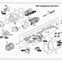 Repair kit DELCO-REMY 19024382