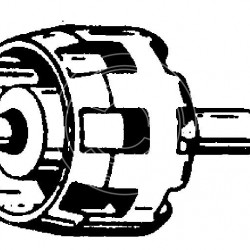 Rotor alternator DELCO-REMY 1894446